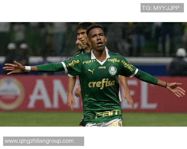 帕尔默因腹股沟伤势缺阵至11月将缺席至少四场重要比赛