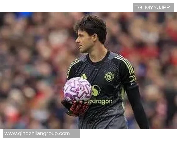 费迪南德称赞拉门斯在对桑德兰的表现增强全队信心展现稳健风范 费迪南德称赞拉门斯在对桑德兰的表现增强全队信心展现稳健风范