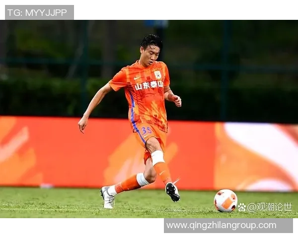 戴琳泰山十年收入超三千万再曝欠款不还引关注