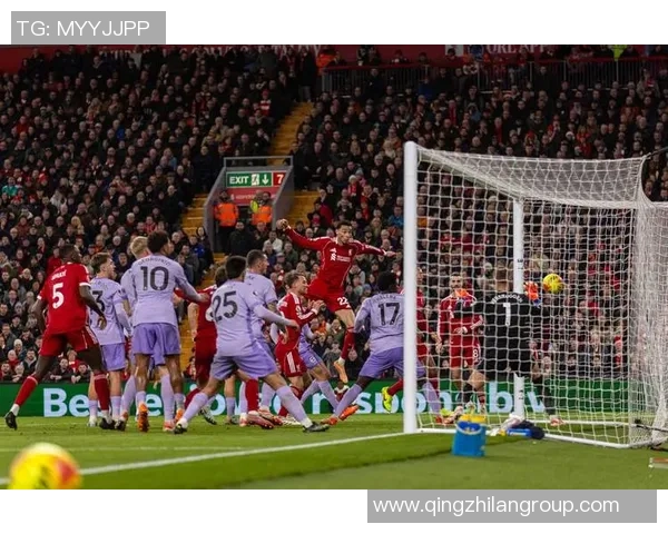 斯洛特谈球迷支持与运气因素布莱顿胜利背后的故事与启示